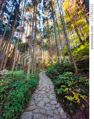 Tsumago-juku to Magome-juku Trail (Autumn) Tsumago-juku to Magome-juku Trail (Autumn) 117761112