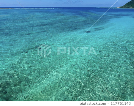 Sea of Iheya Island Sea of Iheya Island 117761143