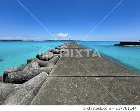 Sea of Iheya Island 117761144