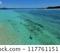 Sea of Iheya Island 117761151