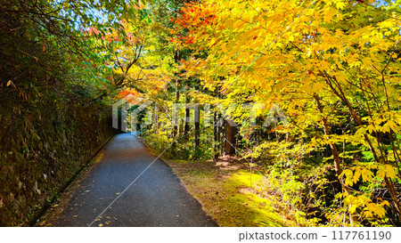 Tsumago-juku to Magome-juku Trail (Autumn) 117761190