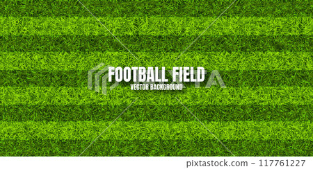 Soccer playing field with green grass. Football pitch background with stripes. Sports ground, stadium with fake or natural grass. Vector illustration Soccer playing field with green grass. Football pitch background with stripes. Sports ground, stadium with fake or natural grass. Vector illustration 117761227