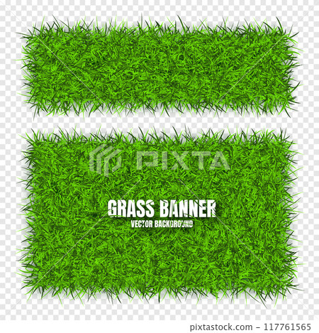 Green grass banners, background. Field, meadow texture, grassy landscape. Organic, bio, eco and natural lifestyle design elements. Ecology and environment protection. Vector illustration 117761565