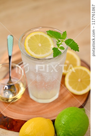 Lemon squash, lemonade, lemon soda, drink. 117761867