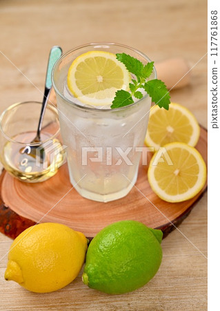 Lemon squash, lemonade, lemon soda, drink. Lemon squash, lemonade, lemon soda, drink. 117761868