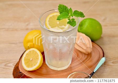 Lemon squash, lemonade, lemon soda, drink. 117761875