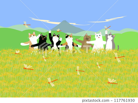 Cats playing in a rice field Cats playing in a rice field 117761930