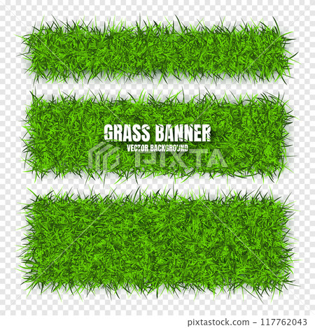 Green grass banners, background. Field, meadow texture, grassy landscape. Organic, bio, eco and natural lifestyle design elements. Ecology and environment protection. Vector illustration Green grass banners, background. Field, meadow texture, grassy landscape. Organic, bio, eco and natural lifestyle design elements. Ecology and environment protection. Vector illustration 117762043