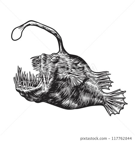 Angler fish isolated vector illustration. Angler fish isolated vector illustration. 117762844