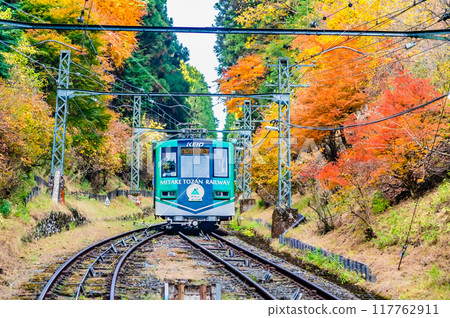 Tokyo: A cable car climbing Mt. Mitake in autumn colors 117762911
