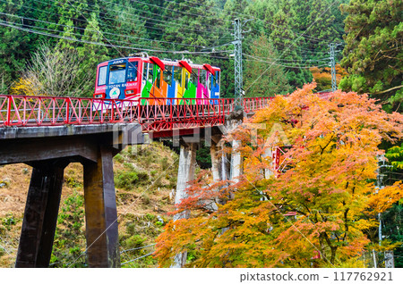 Tokyo: A cable car climbing Mt. Mitake in autumn colors Tokyo: A cable car climbing Mt. Mitake in autumn colors 117762921