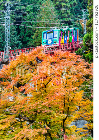 東京秋葉中的纜車攀登禦嶽山 117762926