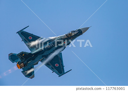 戰鬥機在天空中飛行 戰鬥機在天空中飛行 117763001