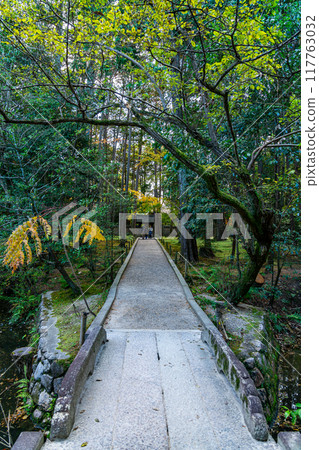 [Nara Prefecture] Toshodaiji Temple with its beautiful carpet of moss 117763032