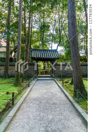 【奈良縣】唐招提寺美麗的苔蘚地毯 【奈良縣】唐招提寺美麗的苔蘚地毯 117763034