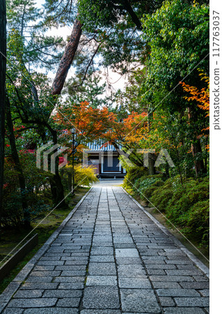 [Nara Prefecture] Toshodaiji Temple with its tranquil atmosphere 117763037