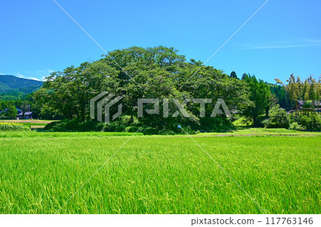 鍋山古墳 中之戶町 鍋山古墳 中之戶町 117763146