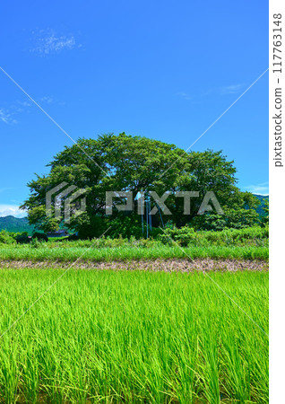 中之登町 Garabouyama 古墳 117763148