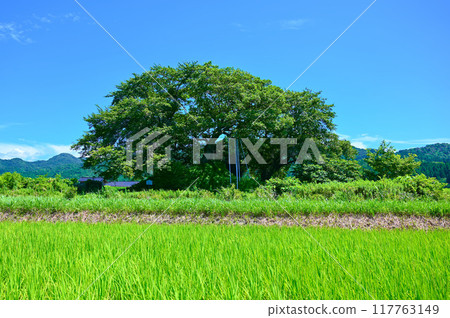 中之登町 Garabouyama 古墳 117763149