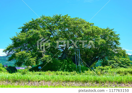 中之登町 Garabouyama 古墳 117763150