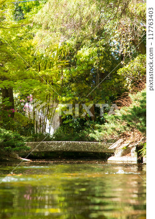 日本花園的水面,擁有美麗的新鮮綠色植物 日本花園的水面,擁有美麗的新鮮綠色植物 117763403