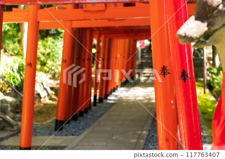 Many torii gates Many torii gates 117763407