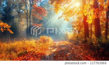 Beautiful autumn forest with colorful leaves on the trees and ground. 117763868