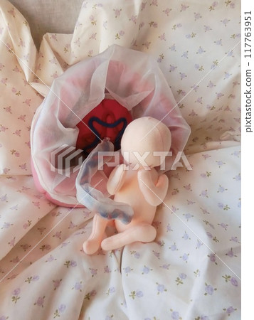 The warmth of the fetus doll The warmth of the fetus doll 117763951