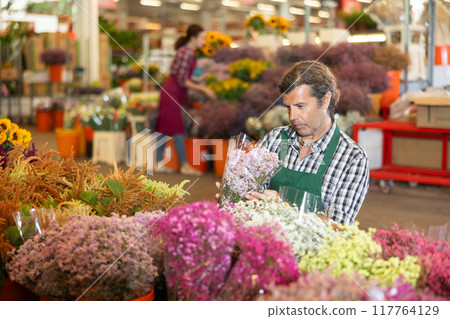 Positive male seller in apron holds dry flowers in hands 117764129
