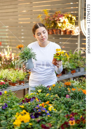 woman shopper is choosing about which flower to buy - gazania or pansies 117764173