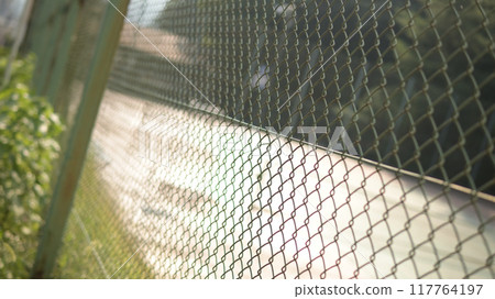 Afternoon sun and chain link fence Afternoon sun and chain link fence 117764197