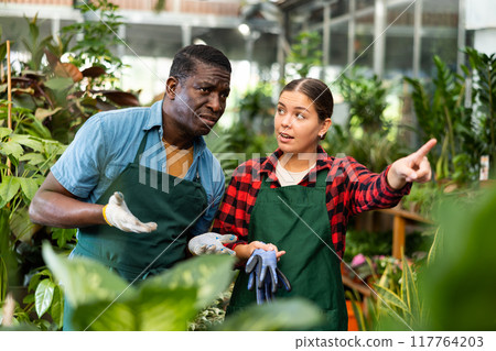 Young woman horticulturist is discussing something with an African american man colleague 117764203