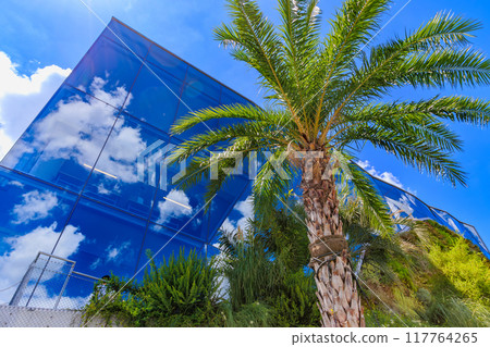 東京澀谷區、神宮前十字路口、東急廣場原宿「原門」的城市景觀 117764265