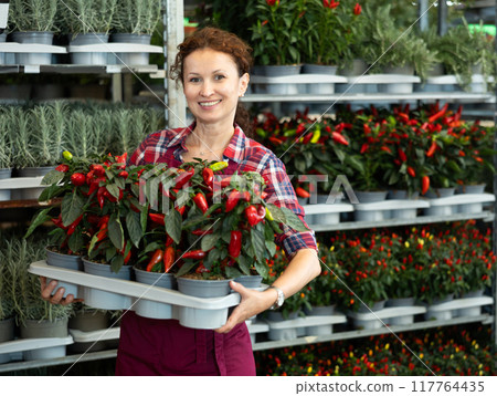 Middle-aged saleswoman holding garden-pots with decorative pepper 117764435