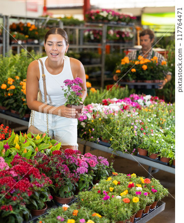 Girl buys and purchase potted Pentas plant in flower shop 117764471