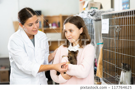 Tween girl standing with female shelter worker, holding kitten Tween girl standing with female shelter worker, holding kitten 117764625