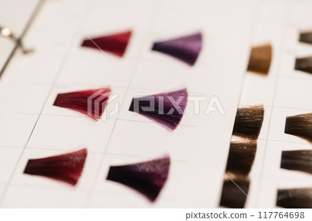 彩色 顏色 色彩樣品 117764698