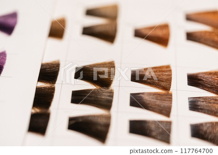 色彩樣品 比色圖表 美 117764700