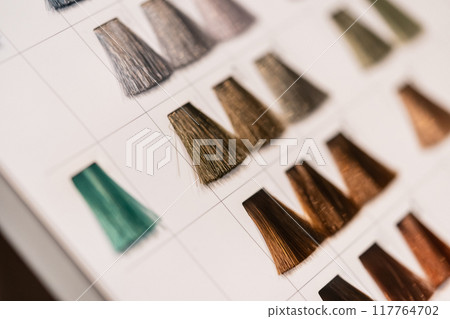 color sample, color swatch, colour swatch 117764702