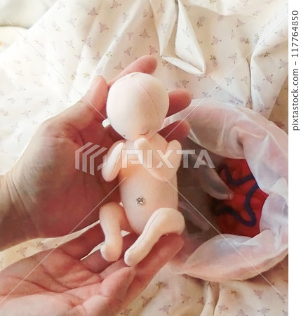 有胎兒附屬物的娃娃 有胎兒附屬物的娃娃 117764850