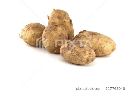 Early season potatoes isolated on white background Early season potatoes isolated on white background 117765040
