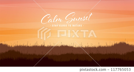 Meadow silhouettes with grass. Countryside, panoramic summer lawn rural landscape with herbs, weeds. Agriculture and farming. Summer sunset in nature, wildlife. Vector illustration Meadow silhouettes with grass. Countryside, panoramic summer lawn rural landscape with herbs, weeds. Agriculture and farming. Summer sunset in nature, wildlife. Vector illustration 117765053
