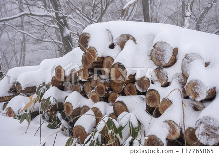 Felled logs covered in snow 117765065