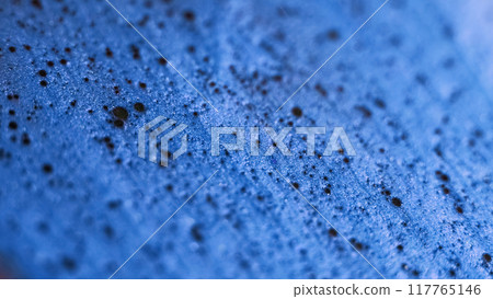 Particles fluid. Shimmering paint flow. Defocused blue black color shiny sand texture polish liquid wave abstract art background. Particles fluid. Shimmering paint flow. Defocused blue black color shiny sand texture polish liquid wave abstract art background. 117765146