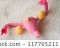 子宮的結構 117765211