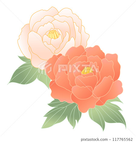 Hand-drawn illustration of a peony flower Hand-drawn illustration of a peony flower 117765562