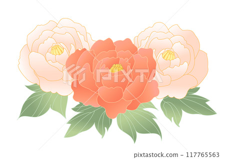 牡丹花手繪插畫 117765563