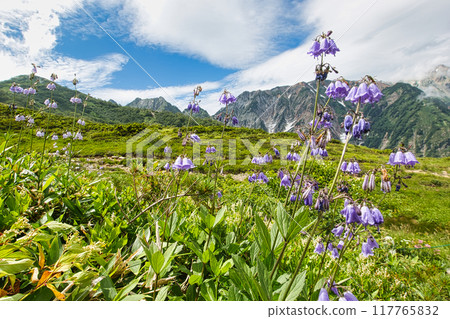 從八方尾根眺望風之隊 從八方尾根眺望風之隊 117765832