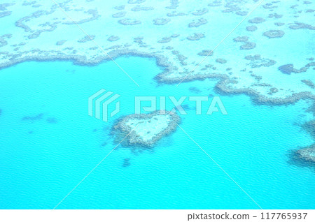 澳洲 漢彌爾頓島 大堡礁 心形礁 117765937