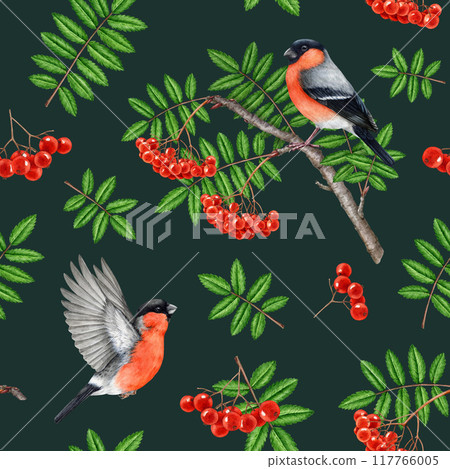 Bullfinch birds with rowan tree elements seamless pattern. Watercolor vintage style illustration. Hand drawn rowan red ripe berries, leaf, forest birds seamless pattern design on dark background 117766005